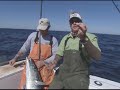 Addictive Fishing: The Midnight Lump - WAHOO Fishing