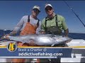 Addictive Fishing: The Midnight Lump - WAHOO Fishing