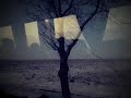 Robin and the Backstabbers - Soare cu dinti (Official video)