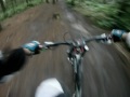 Greno Woods - following Joe