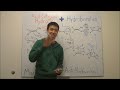 Hydroboration Oxidation Reaction and Mechanism Made Easy! Alkene Addition - Organic Chemistry