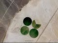 Segredos do Google Earth