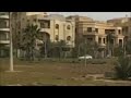 Locusts swarm Egypt