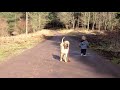 Best Friends - a kid, a dog and a puddle