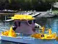 Daffodil Elvis Boat