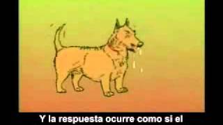 Curioso premio Nobel: Iván Pavlov
