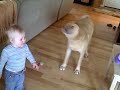 Dog teaches baby to Jump!