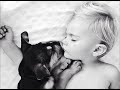 Theo & Beau Instagram Pics Go Viral: Boy & His Puppy's Sweet Napping Pics (Nov. 2013)