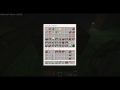 X113 - X's Adventures in Minecraft - 013 - Greenhouse Foundation