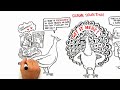 Denis Dutton: A Darwinian theory of beauty