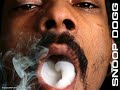 Snoop Dogg Feat. Will I Am - The Donque Song