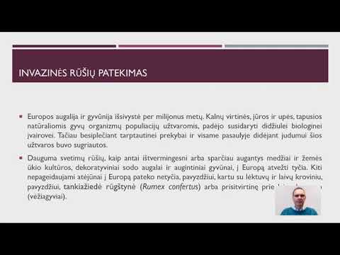 Invaziniai augalai – grėsmė natūraliai florai