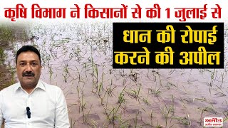 कृषि विभाग ने किसानों से की 1 जुलाई से धान की रोपाई करने की अपील