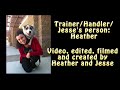 Useful Dog Tricks 3 performed by Jesse