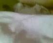 My kitten Missy falling off the bed,so funny! My kitten Missy falling off the bed,so funny!