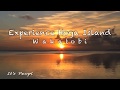 Pulau Hoga, Dive Resort Wakatobi