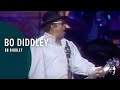 Bo Diddley - Bo Diddley