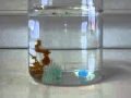 miniature