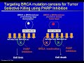 PARP Inhibition in Breast Cancer Part 1 of 2