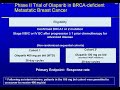 PARP Inhibition in Breast Cancer Part 1 of 2