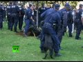 Graphic video: Australia Muslim protest turns violent, police dog bites man