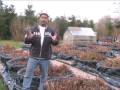 Plantas Carnivoras - Curso Iniciante 7 aulas (Video) Default