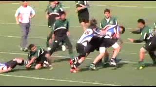 peninsula green rugby