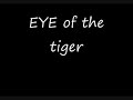 Eye of the tiger -Lyrics-