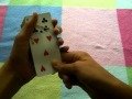 miniature