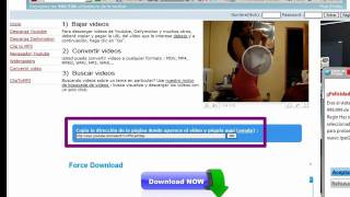 Como Descargar Videos De Youtube Con Force Download