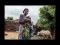 Niger Invests in Early Childhood through Social Safety Nets