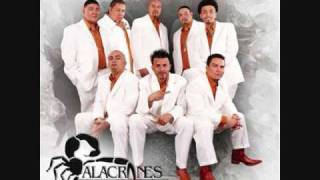 Alacranes Musical Lyrics