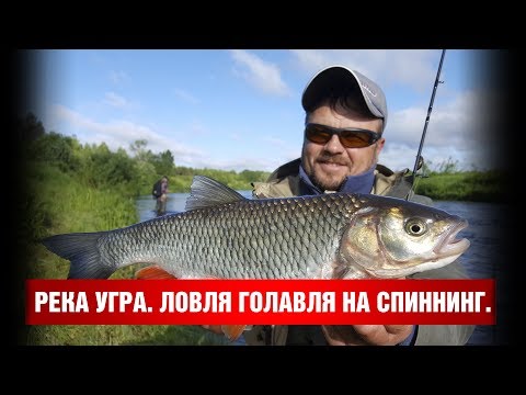 Ловля щуки на реке угре Ловля щуки на реке угре