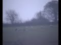 The Glen Lough Wildlife Sanctuary Flooded