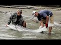 Fishing with Rod: Fraser River Sturgeon, Part Two