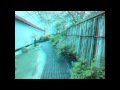 3D Springtime in a Japanese Garden HD