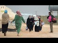 Israel foreign policy under pressure
