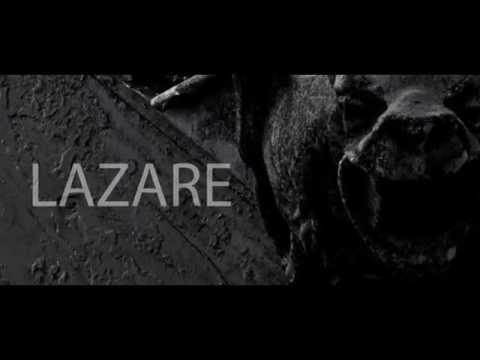 Vignette Vidéo