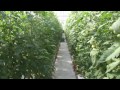 A Visit to Don's Produce, Arena, WI