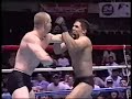 NHB FIGHTING by John Lober