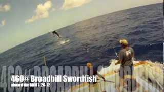 460 Broadbill Swordfish On The Bn M Youtube