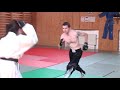 KARATE GIRL VS STREETFIGHTER (real fight)