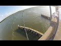 Gag Grouper Inshore Fishing