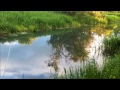 Under the Surface - Vol.10: Fly Fishing for Pike on Pocklington Canal (13. 06. 13)