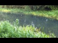 Under the Surface - Vol.10: Fly Fishing for Pike on Pocklington Canal (13. 06. 13)
