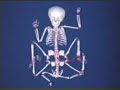 India Hindu Goddess Lakshmi re borne again with 8 Limbs