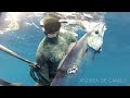SPEARFISHING IN THE SOUTH ATLANTIC HD