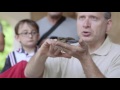 Bioblitz Oglio Sud 2016