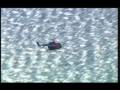 Acrobaties Hlicoptre Red Bull Helicopter does back flips