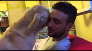Quiso retar a su perro mira lo que recibió